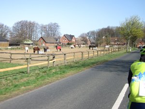 RTF Neuwiedenthal 136